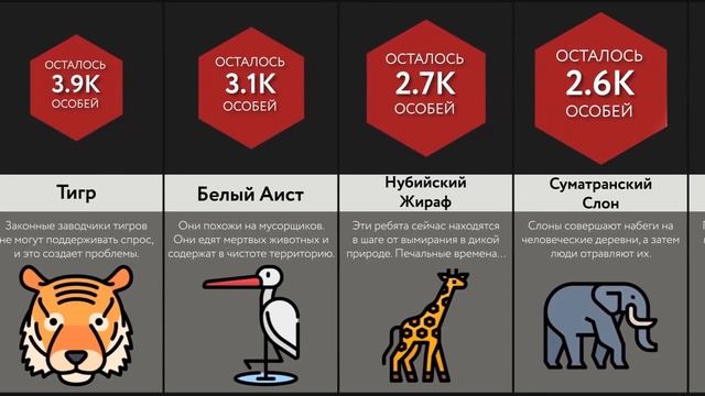 Животные На Грани Вымирания
