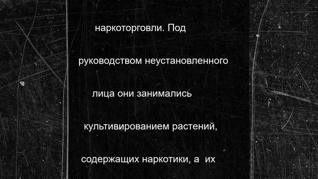 В Новосибирской области прокуратура передала в суд дело о незаконном обороте более 14 кг наркотиков
