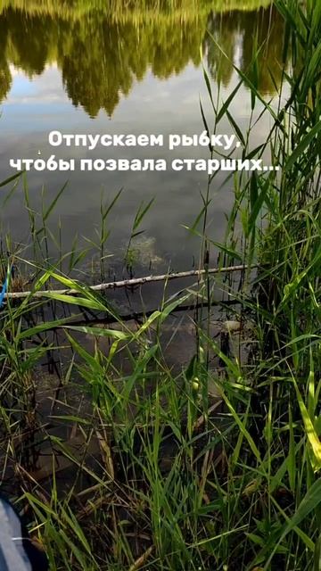 вот такая вот рыбалка