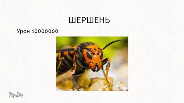 История с другом ( анимация )