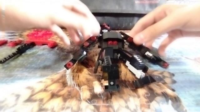1000004769.mp4