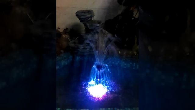 VID_20250620_205832.mp4