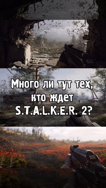 Сталкеры вы где?