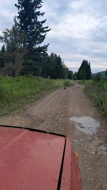 По дороге на Теренсуг.