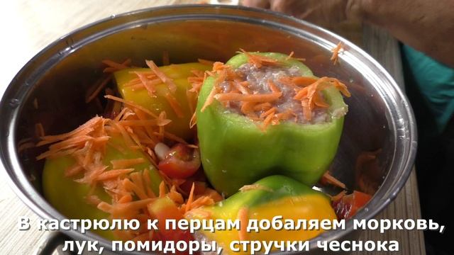 Фаршированные перцы с мясом и рисом в овощном бульоне — пошаговый рецепт