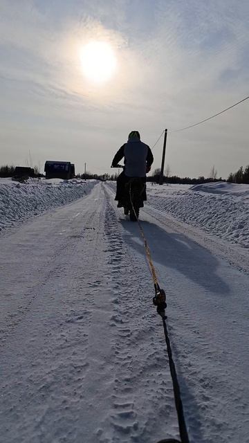 Покатушки на плюшке