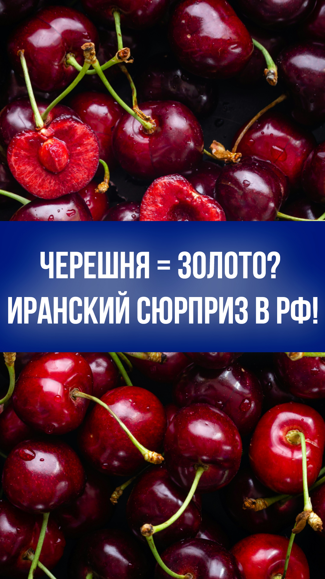 Черешня по цене золота: ракетные атаки взвинтили цены на фрукты в России до небес