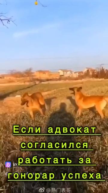 Гонорар успеха - мотивация