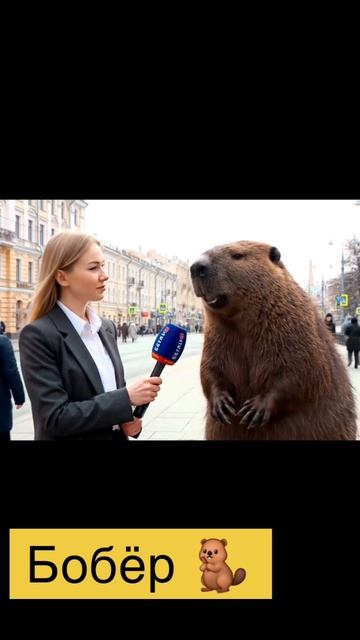 ИНТЕРВЬЮ С БОБРОМ 🦫