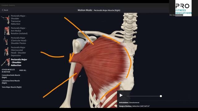 Как подобрать упражнения на растяжку на мышцы Тренер по растяжке 2. - Pro Fitness Education (720p, h