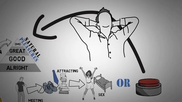 Почему Последователи NoFap (НоФап) Становятся Успешными