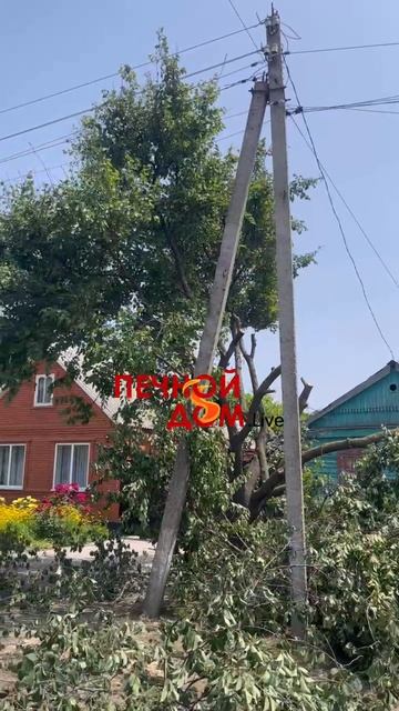 Бензиновая мини пила Sturm на тесте. 25-06-2025