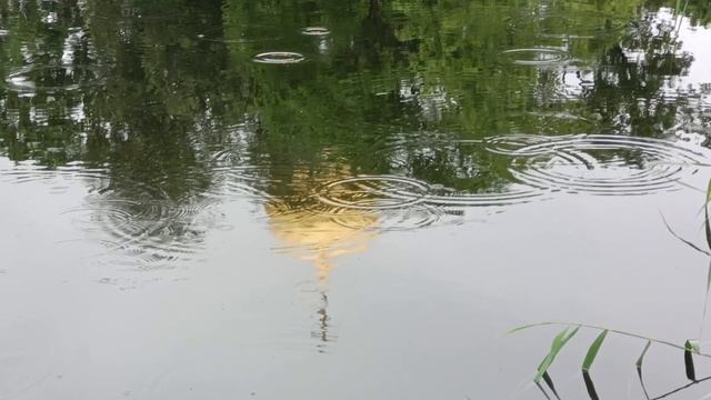 VID_20250625_115150