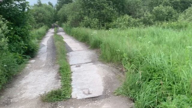 Поле