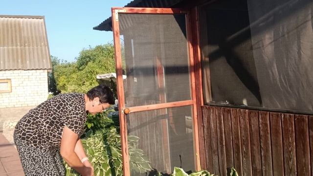 24.06.2025г.2 ЧАСТЬ// ХРОНИКА ДНЯ/ ОБЫЧНАЯ СЕЛЬСКАЯ ЖИЗНЬ🏡🐓