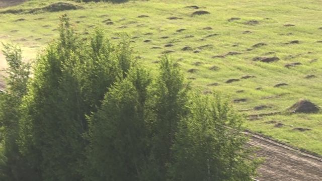Конные бега Кубок Главы Чувашии Финал Победитель Лошадь Архангел Лок наездник Илсур Галимзянов 2025