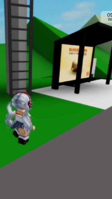 БОЛЬШЕ ЕГО НИКТО НЕ ВИДЕЛ...