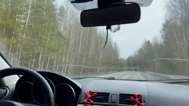 Едем по дороге домой