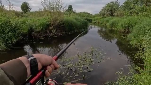 Мужик. Ловлю рыбу в ручье.