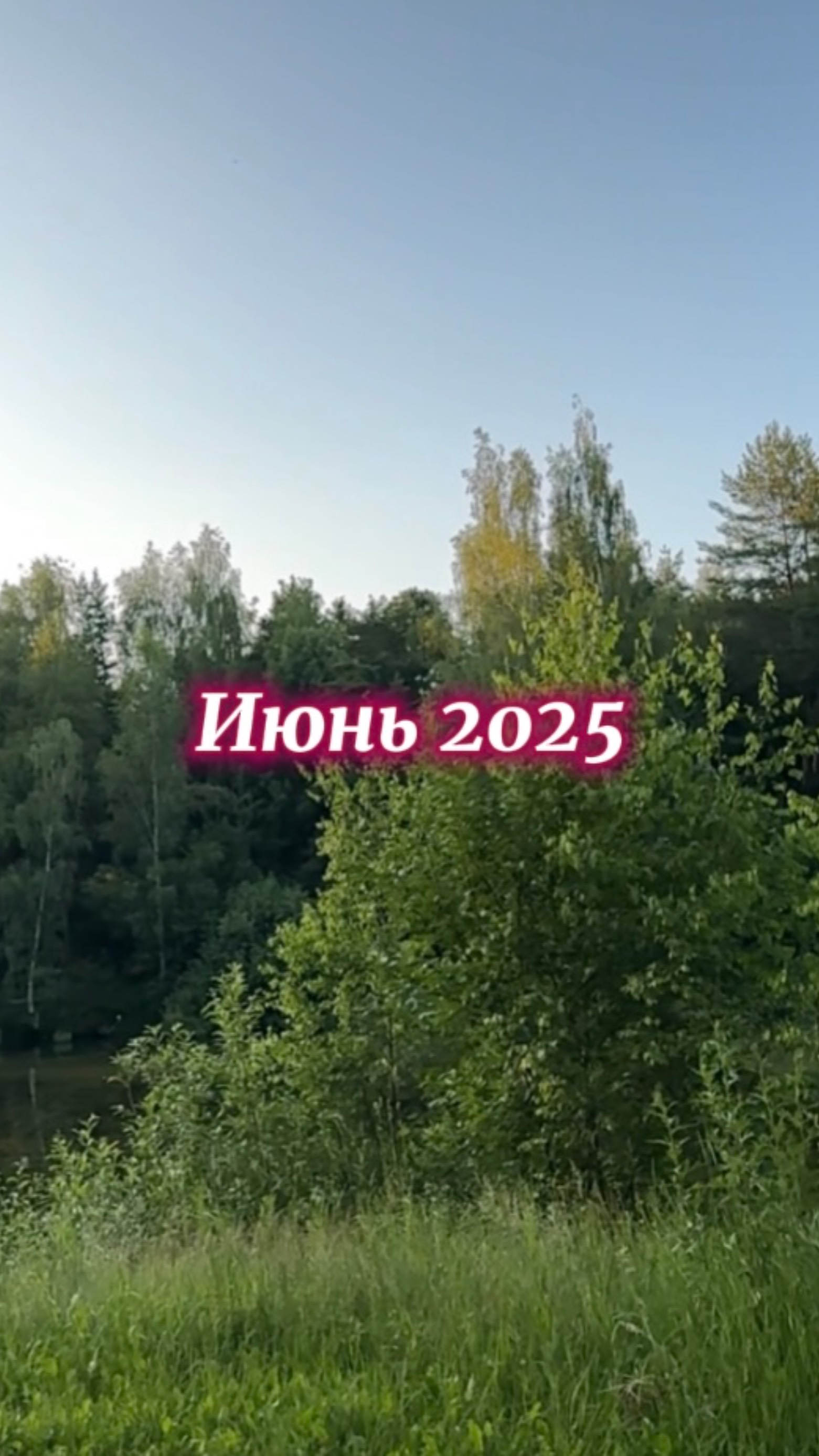 Времена года. Лето. Июнь
