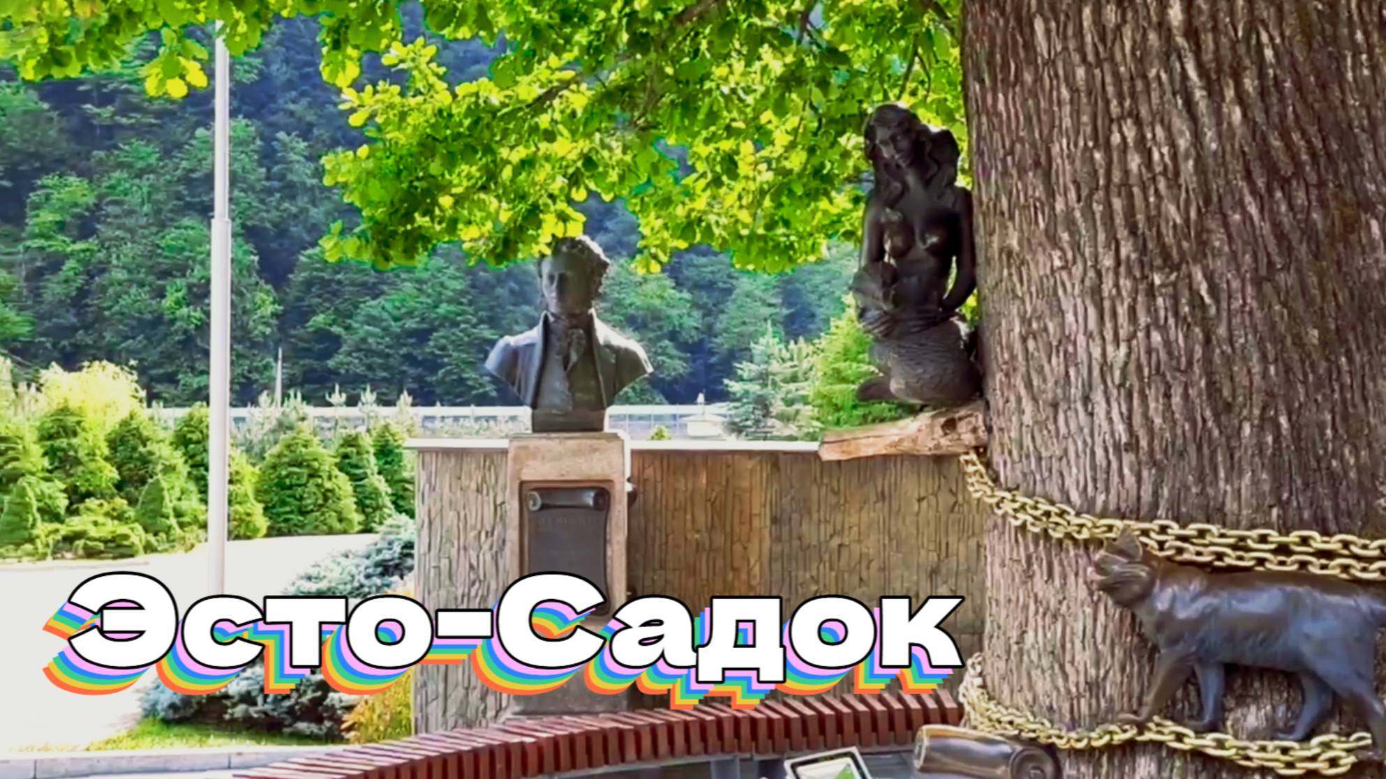 Эсто-Садок. Лаура, "Галактика," Кот учёный