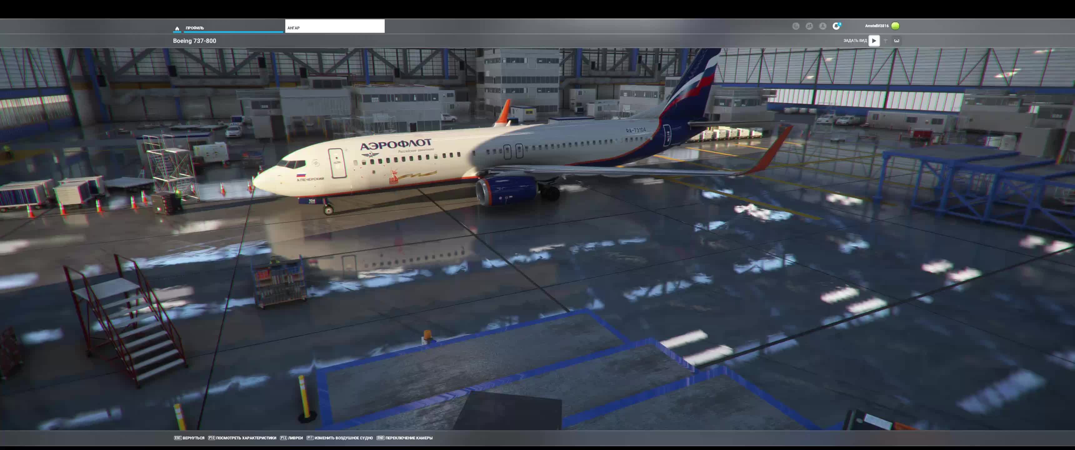 Microsoft Flight Simulator