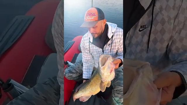 Вот это улов!!! Мы в шоке !!!! #fishing #music #рыбалка #рекомендации, #судак