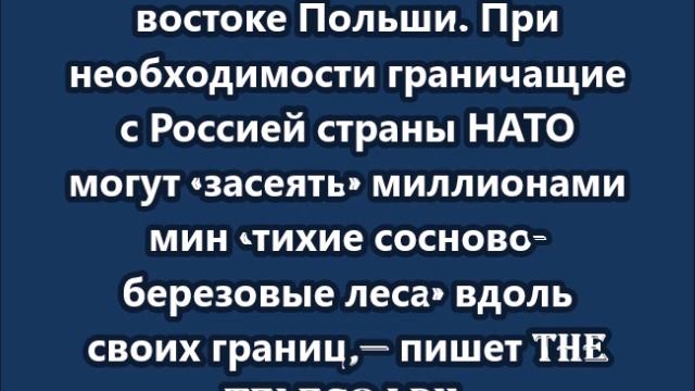 Европа решила создать «железный занавес» на границе с Россией