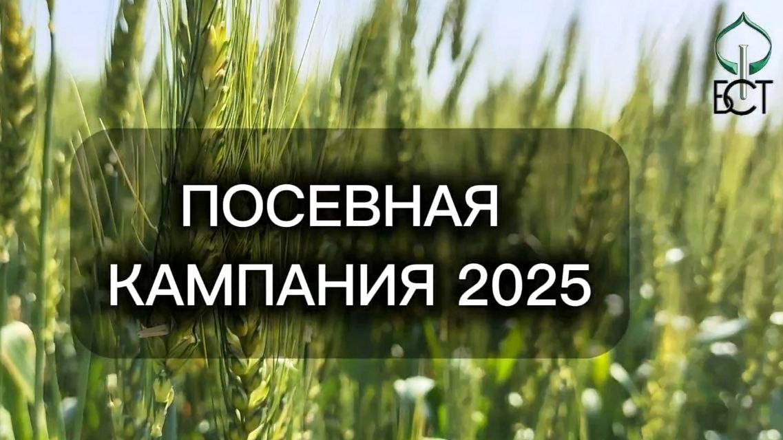 Посевная кампания ФГБНУ ФНЦ БСТ РАН 2025