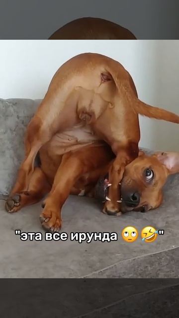 ЖИЗНЬ