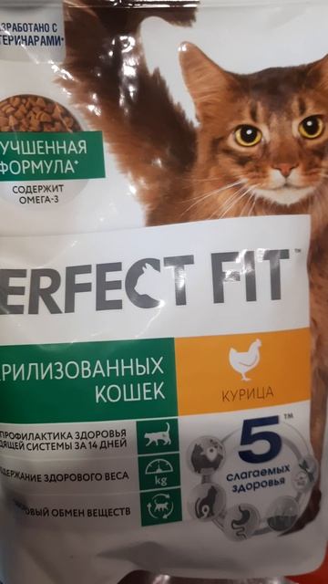 Чем кормить кота Васю.
