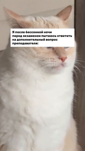 А он просит назвать свои фамилию, имя и отчество...