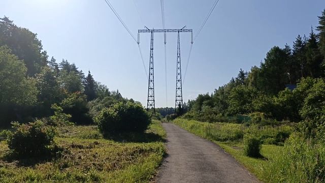 Магнолия