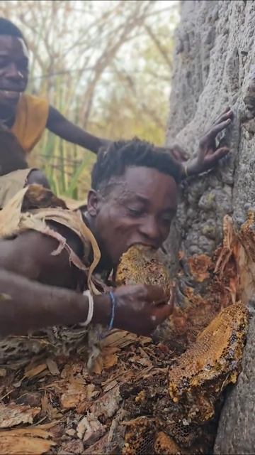 Так африканские племена добывают мёд диких пчёл