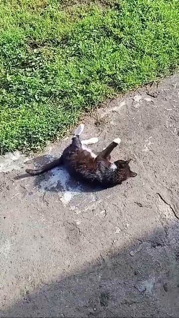 Село Исады. Утро