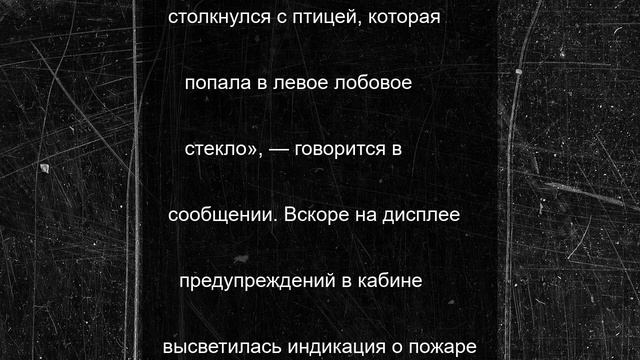 Самолет АК «Ямал» загорелся в воздухе из-за столкновения с птицей