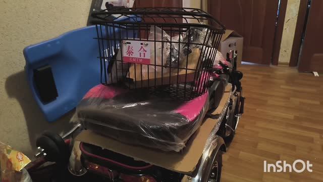 Моя прелесть пришла (My beauty has arrived). Скутеры для инвалидов. Mobility scooter.