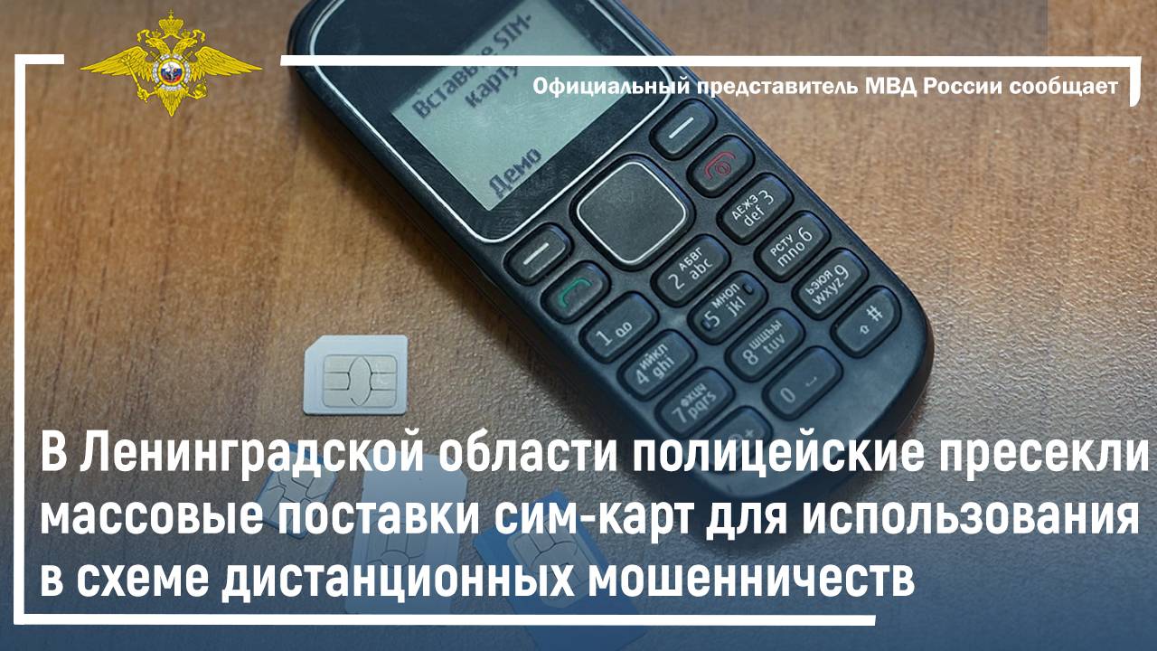 В Ленобласти полицейские пресекли массовые поставки сим-карт для использования в мошенничествах