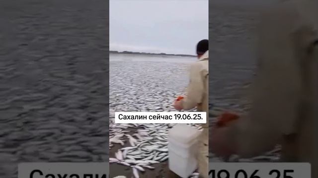 VID-20250624-WA0295