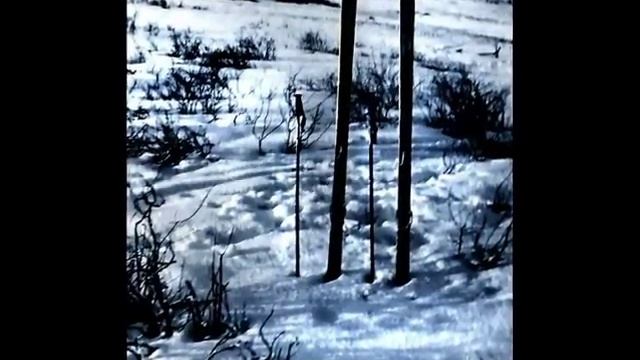 Горнолыжники на Хайдарканском перевале, в т.ч. и на “Канатке“, 1970-е - 1990-е года
