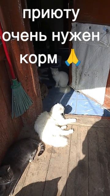 +7985 193 0027