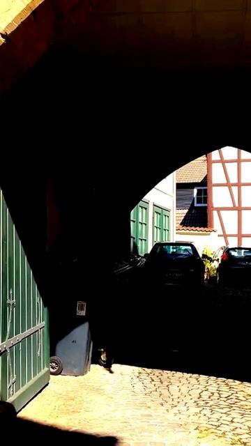 Камера показала