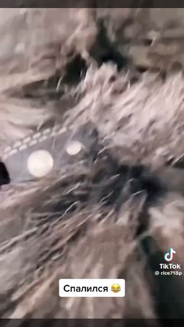 Сама хитроОпая.
1000017983.mp4