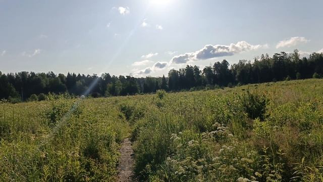 Магнолия