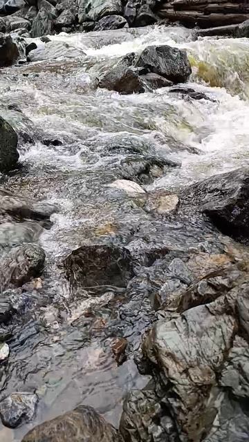 Водичка
