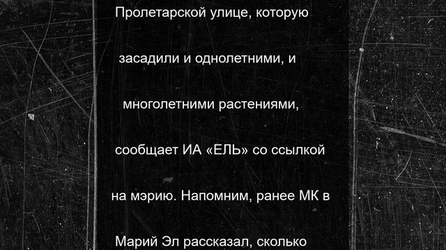 В Йошкар-Оле к празднику Пеледыш пайрем обновили клумбы