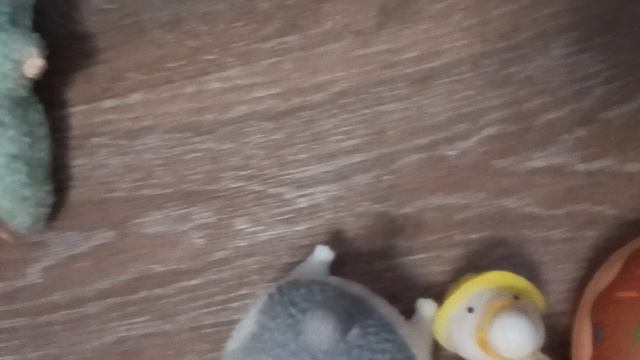 1000040090.mp4