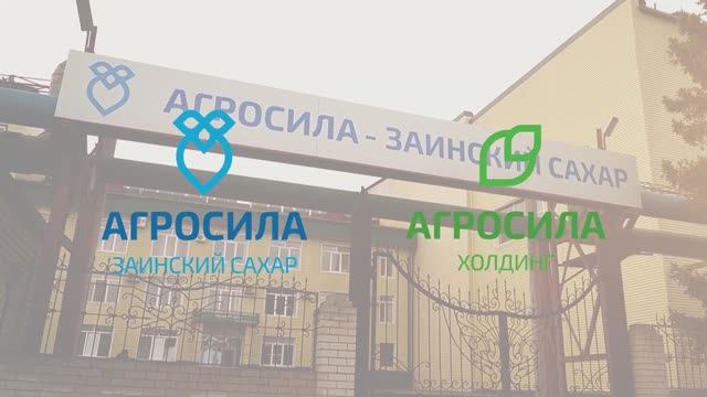Заинский Сахар