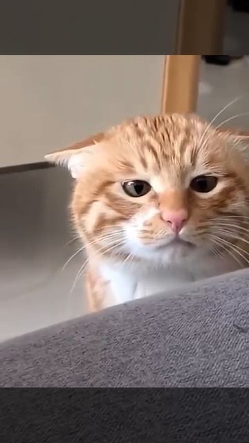 Ну что, всё ещё лежишь?