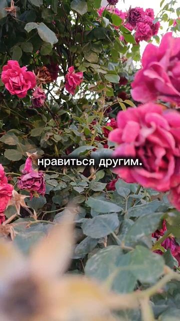 мудрость жизни для жизни #мудрость #мотивация #мысли #идеи #счастье #жизнь #личность #коучинг #мир